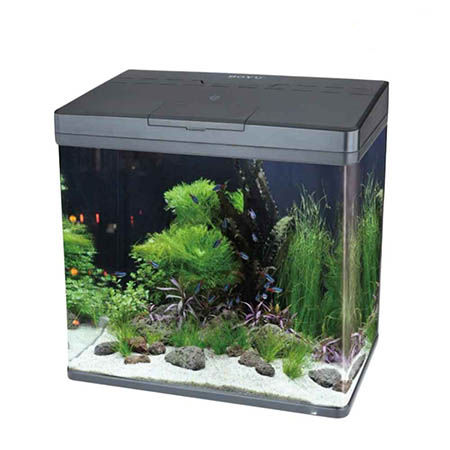 آکواریوم هوشمند بویو GR-MINI-S با تکنولوژی وای فای