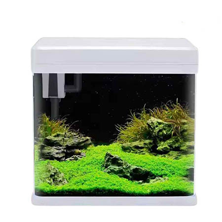 آکواریوم هوشمند بویو GR-MINI-S با تکنولوژی وای فای