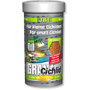 Grana Cichlid