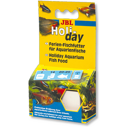 تصویر پمپ هوا D-300 A BOYU 