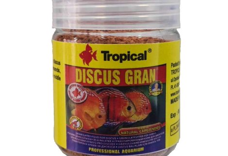 Discus gran