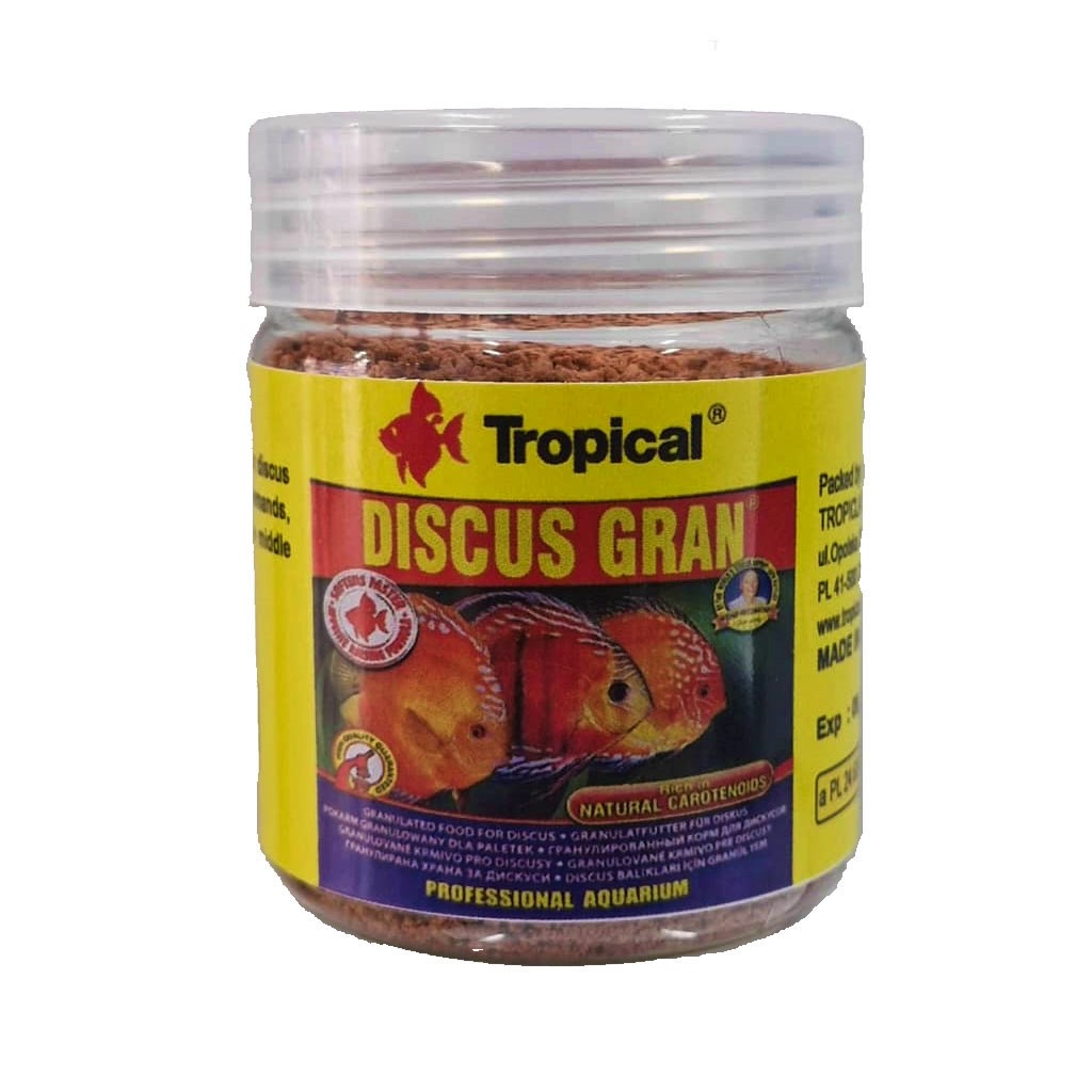 Discus gran