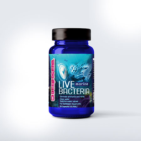 باکتری Live Bacteria – آب شور