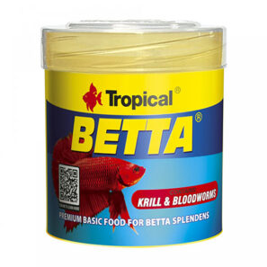 بتا تروپیکال beta tropical