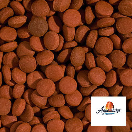 غذای ماهی مسافرتی Tropical food